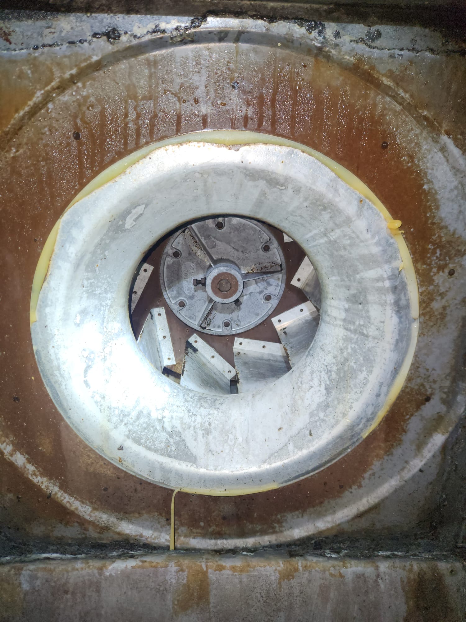 After Cleaning 1